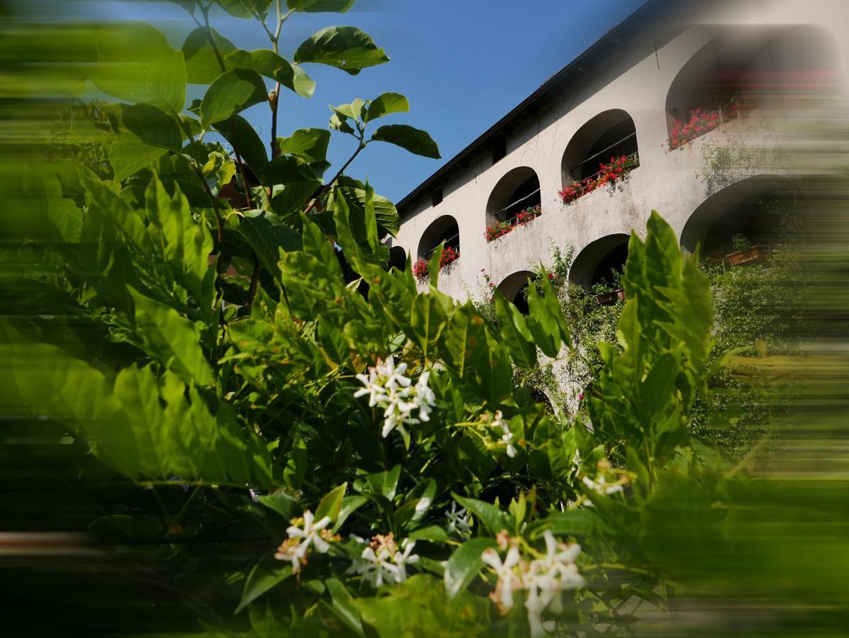 Affittacamere Casa Archi ロゾネ エクステリア 写真